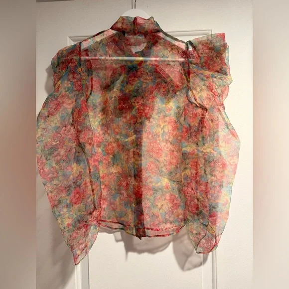 Zara Sheer Floral Blouse - Red and Blue - Picture 4 of 5